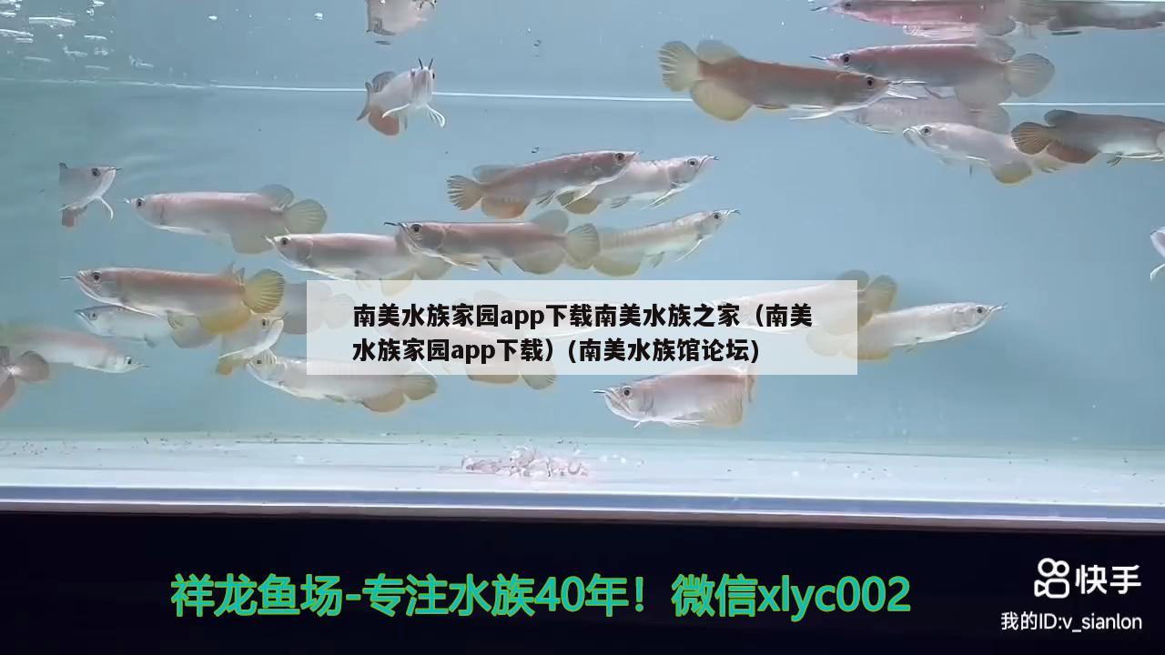 南美水族家園app下載南美水族之家（南美水族家園app下載）(南美水族館論壇)