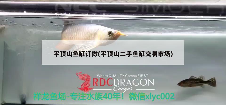 平頂山魚缸訂做(平頂山二手魚缸交易市場)