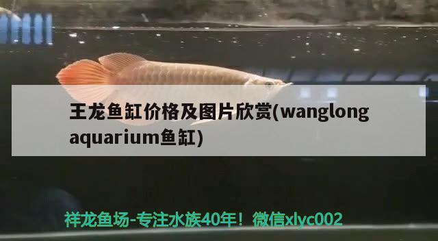 王龍魚缸價(jià)格及圖片欣賞(wanglongaquarium魚缸)