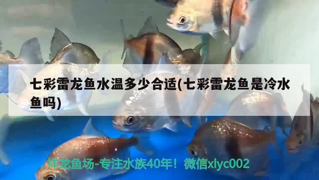 七彩雷龍魚水溫多少合適(七彩雷龍魚是冷水魚嗎)