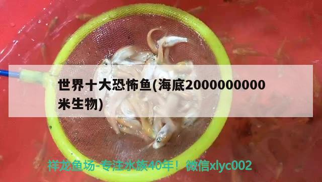 世界十大恐怖魚(海底2000000000米生物)