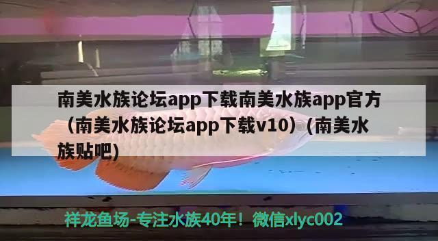 南美水族論壇app下載南美水族app官方（南美水族論壇app下載v10）(南美水族貼吧)