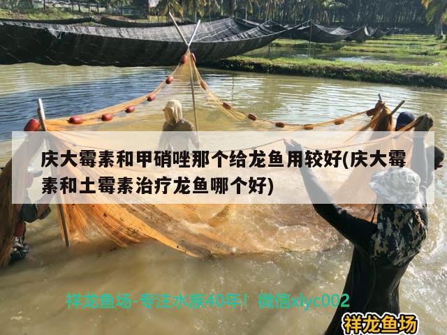 慶大霉素和甲硝唑那個給龍魚用較好(慶大霉素和土霉素治療龍魚哪個好)