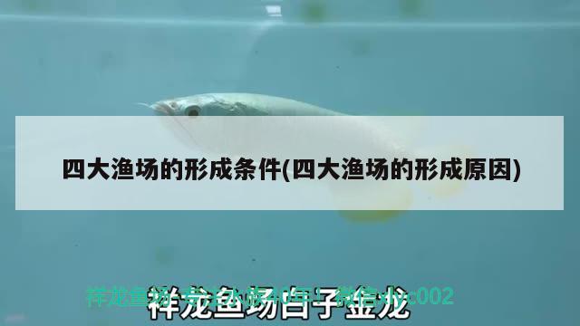 四大漁場(chǎng)的形成條件(四大漁場(chǎng)的形成原因) 金老虎魚(yú)