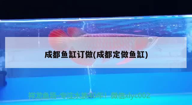 成都魚缸訂做(成都定做魚缸)