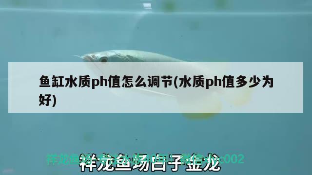 魚缸水質ph值怎么調節(jié)(水質ph值多少為好)