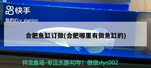 合肥魚缸訂做(合肥哪里有做魚缸的) 銀龍魚百科