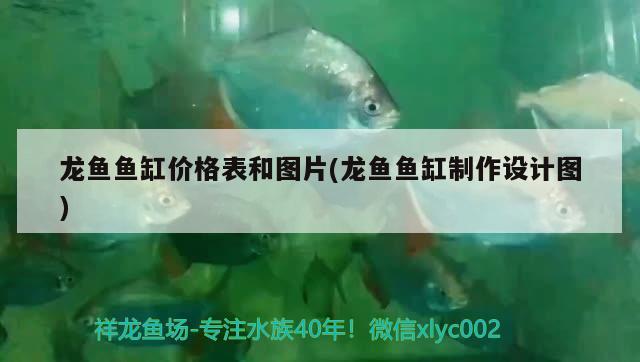 龍魚魚缸價格表和圖片(龍魚魚缸制作設(shè)計圖)