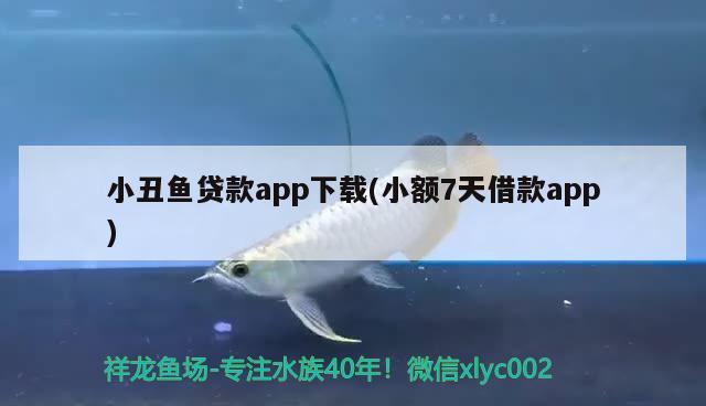 小丑魚貸款app下載(小額7天借款app)