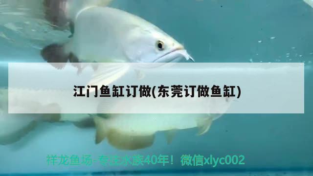 江門魚缸訂做(東莞訂做魚缸) 慈雕魚