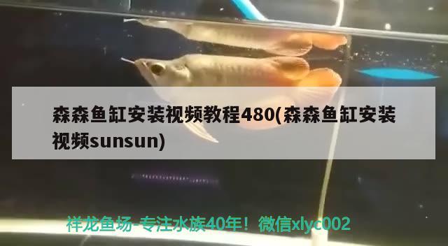 森森魚缸安裝視頻教程480(森森魚缸安裝視頻sunsun)