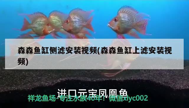 森森魚缸側(cè)濾安裝視頻(森森魚缸上濾安裝視頻)