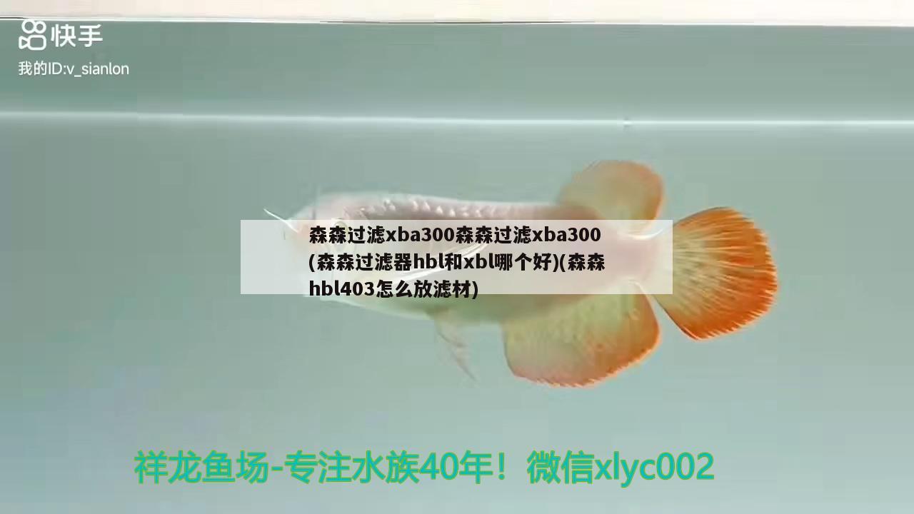 森森過濾xba300森森過濾xba300(森森過濾器hbl和xbl哪個(gè)好)(森森h(huán)bl403怎么放濾材)