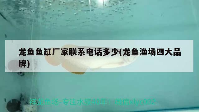 龍魚魚缸廠家聯(lián)系電話多少(龍魚漁場四大品牌)