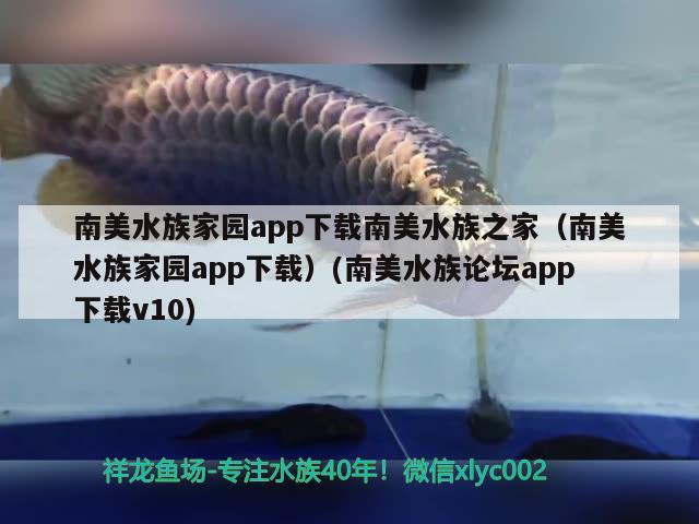 南美水族家園app下載南美水族之家（南美水族家園app下載）(南美水族論壇app下載v10)