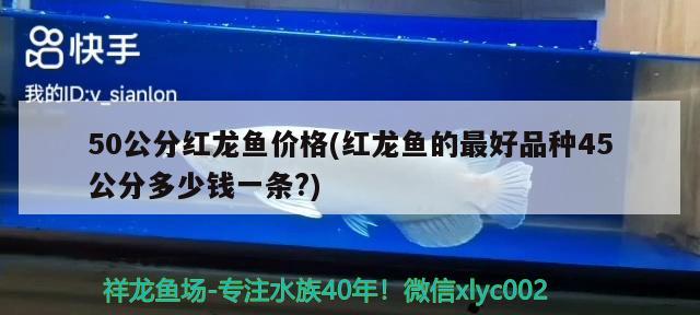 50公分紅龍魚價(jià)格(紅龍魚的最好品種45公分多少錢一條?) 觀賞魚