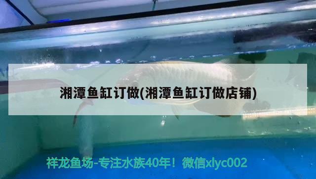 湘潭魚缸訂做(湘潭魚缸訂做店鋪) 羅漢魚