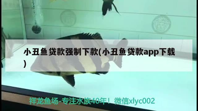 小丑魚貸款強制下款(小丑魚貸款app下載)