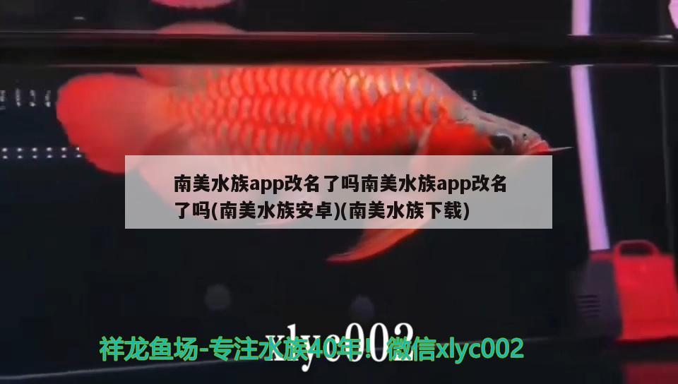 南美水族app改名了嗎南美水族app改名了嗎(南美水族安卓)(南美水族下載)