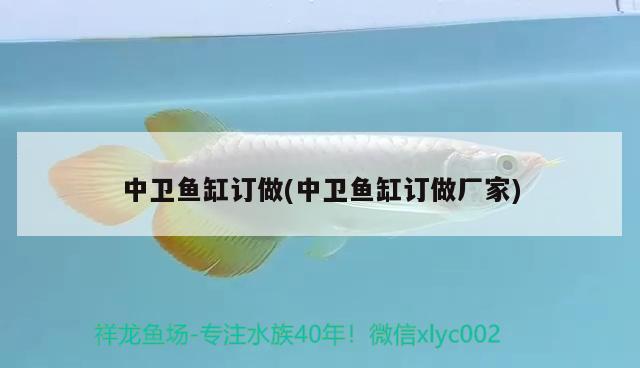 中衛(wèi)魚缸訂做(中衛(wèi)魚缸訂做廠家) 女王大帆魚苗