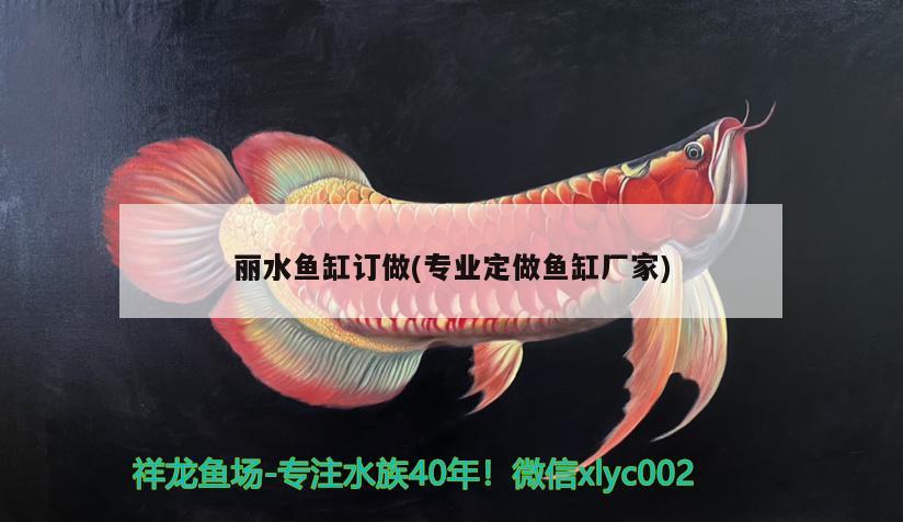 麗水魚缸訂做(專業(yè)定做魚缸廠家)