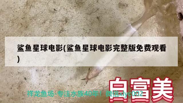 鯊魚星球電影(鯊魚星球電影完整版免費(fèi)觀看)