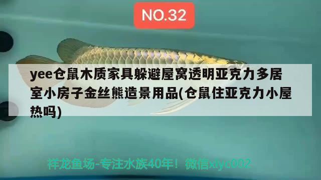 yee倉鼠木質(zhì)家具躲避屋窩透明亞克力多居室小房子金絲熊造景用品(倉鼠住亞克力小屋熱嗎) yee