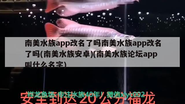 南美水族app改名了嗎南美水族app改名了嗎(南美水族安卓)(南美水族論壇app叫什么名字)