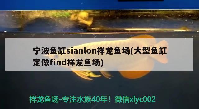 寧波魚缸sianlon祥龍魚場(大型魚缸定做find祥龍魚場)