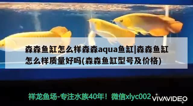 森森魚缸怎么樣森森aqua魚缸|森森魚缸怎么樣質(zhì)量好嗎(森森魚缸型號及價格)