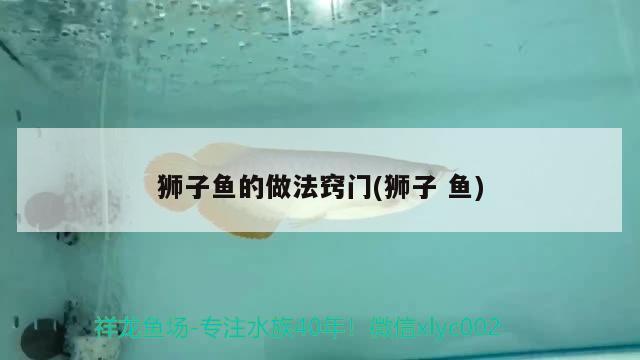 獅子魚的做法竅門(獅子魚) 觀賞魚