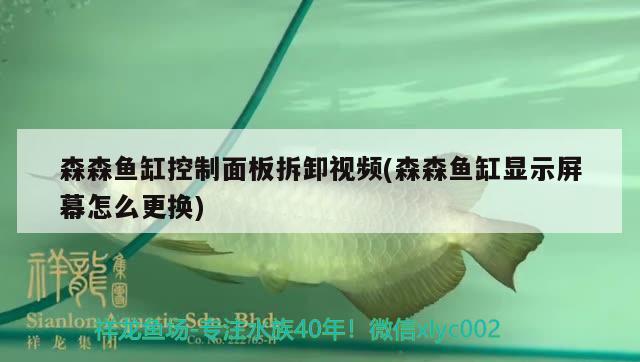 森森魚(yú)缸控制面板拆卸視頻(森森魚(yú)缸顯示屏幕怎么更換)