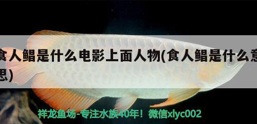 食人鯧是什么電影上面人物(食人鯧是什么意思) 觀賞魚