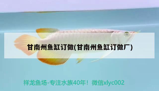 甘南州魚缸訂做(甘南州魚缸訂做廠) 觀賞魚市場