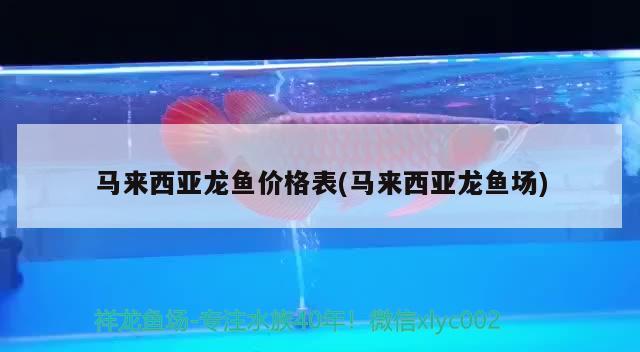 馬來西亞龍魚價格表(馬來西亞龍魚場) 祥龍水族醫(yī)院