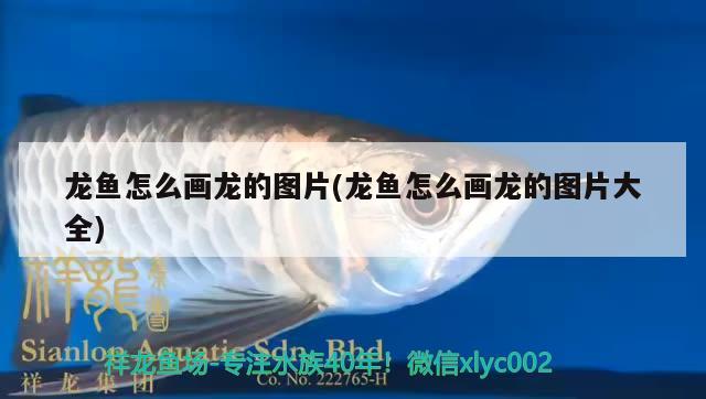 龍魚怎么畫龍的圖片(龍魚怎么畫龍的圖片大全) 九鼎魚缸