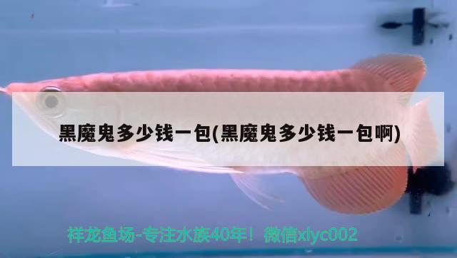 黑魔鬼多少錢一包(黑魔鬼多少錢一包啊) 觀賞魚(yú)