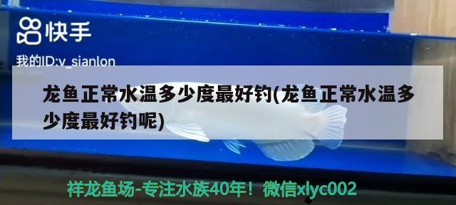 龍魚正常水溫多少度最好釣(龍魚正常水溫多少度最好釣呢) 垂釣樂園