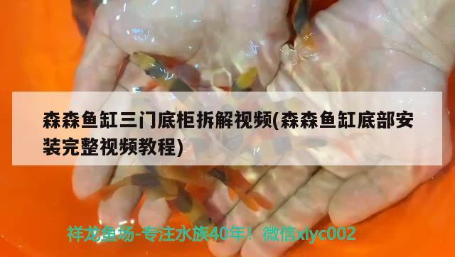 森森魚缸三門底柜拆解視頻(森森魚缸底部安裝完整視頻教程)