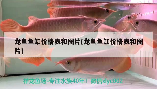 龍魚魚缸價(jià)格表和圖片(龍魚魚缸價(jià)格表和圖片)