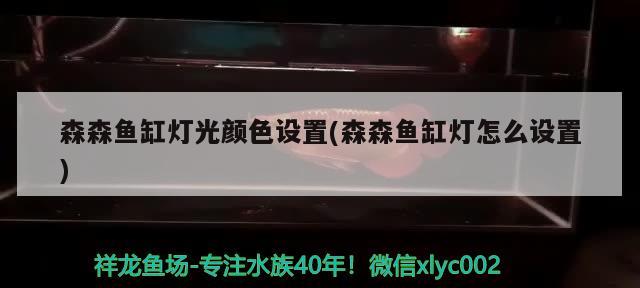 森森魚缸燈光顏色設置(森森魚缸燈怎么設置)