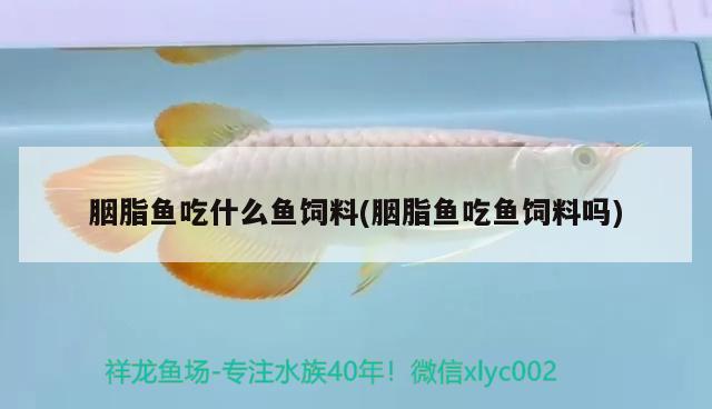 胭脂魚吃什么魚飼料(胭脂魚吃魚飼料嗎)