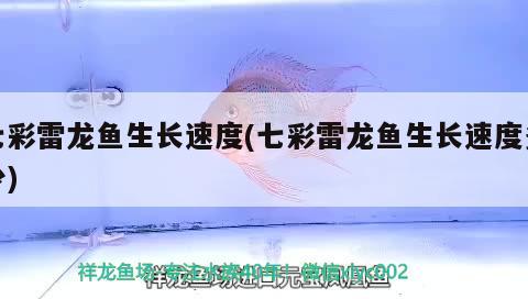 七彩雷龍魚(yú)生長(zhǎng)速度(七彩雷龍魚(yú)生長(zhǎng)速度多少) 虎斑恐龍魚(yú)