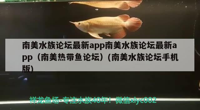 南美水族論壇最新app南美水族論壇最新app（南美熱帶魚論壇）(南美水族論壇手機(jī)版) 大日玉鯖魚