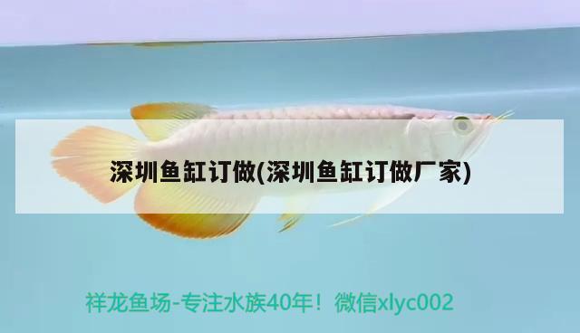 深圳魚缸訂做(深圳魚缸訂做廠家)