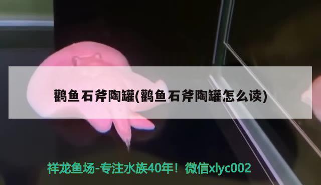 鸛魚石斧陶罐(鸛魚石斧陶罐怎么讀)