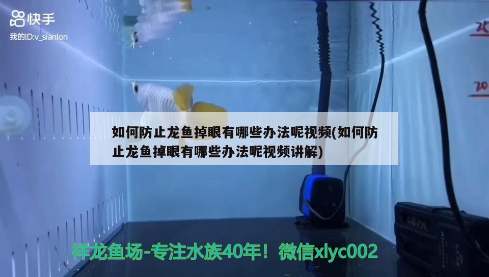 如何防止龍魚掉眼有哪些辦法呢視頻(如何防止龍魚掉眼有哪些辦法呢視頻講解)