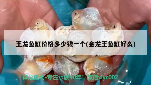 王龍魚缸價格多少錢一個(金龍王魚缸好么)