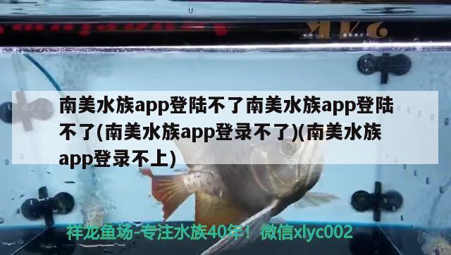 南美水族app登陸不了南美水族app登陸不了(南美水族app登錄不了)(南美水族app登錄不上) 速倍妥魚糧魚藥