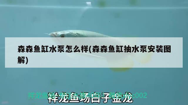 森森魚缸水泵怎么樣(森森魚缸抽水泵安裝圖解)